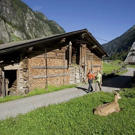 Quaint In Near Lift Finkenberg